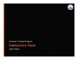 Summer Training Program - Subsurface Team.pdf