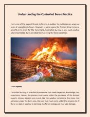 Understanding the Controlled Burns Practice- pdf.pdf