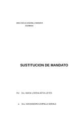 Sustitución Mandato.doc