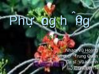 phuong hong.pps