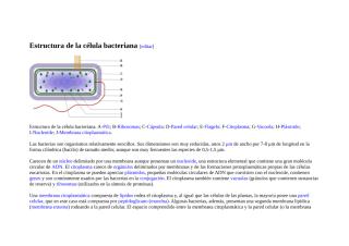 Estructura de la célula bacteriana.docx